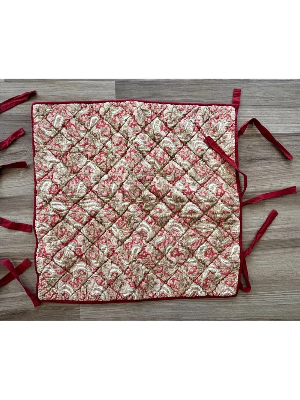 Pottery Barn Euro Sham Set of 2 Georgia Quilted Red And Paisley  26 x 26 Inches